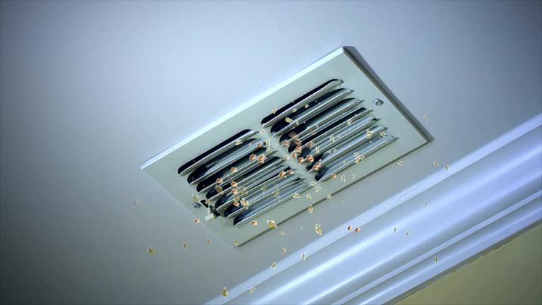 Best Air Duct Cleaning Company Near Me  in Carrollton, KY