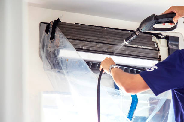 Best Professional Duct Cleaning Services  in Carrollton, KY