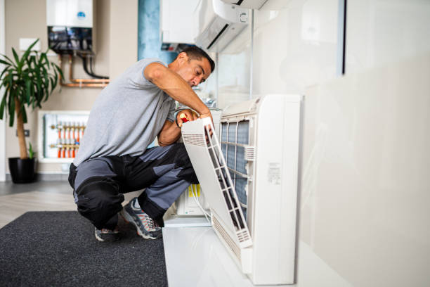 Best Dryer Vent Cleaning Services  in Carrollton, KY