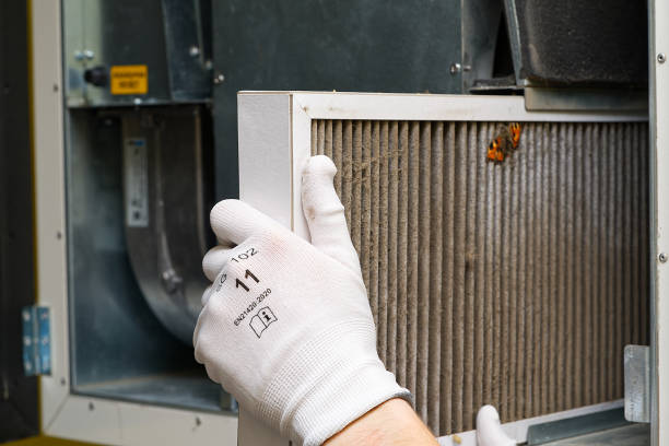 Best Air Duct Cleaning Near Me  in Carrollton, KY