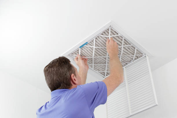 Best Air Duct Cleaning Near Me  in Carrollton, KY